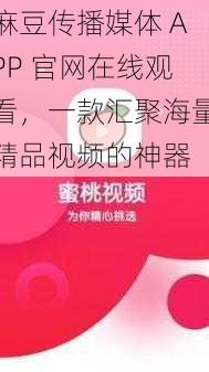 麻豆传播媒体 APP 官网在线观看，一款汇聚海量精品视频的神器