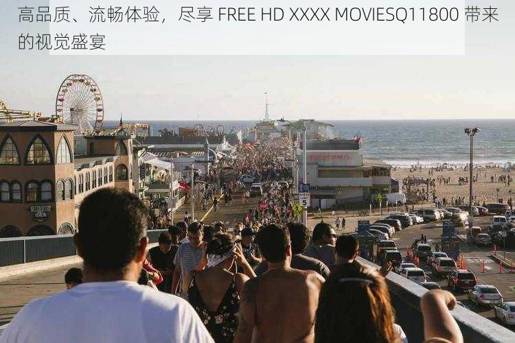 高品质、流畅体验，尽享 FREE HD XXXX MOVIESQ11800 带来的视觉盛宴