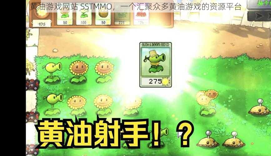 黄油游戏网站 SSTMMO，一个汇聚众多黄油游戏的资源平台