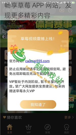 畅享草莓 APP 网站，发现更多精彩内容