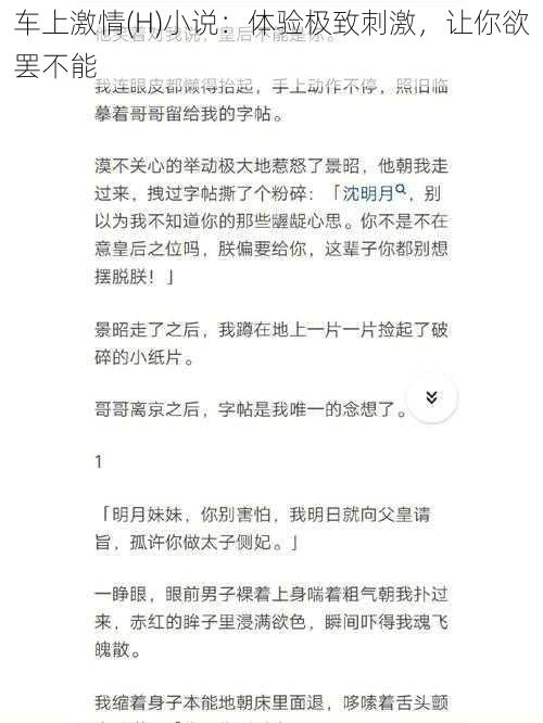 车上激情(H)小说：体验极致刺激，让你欲罢不能