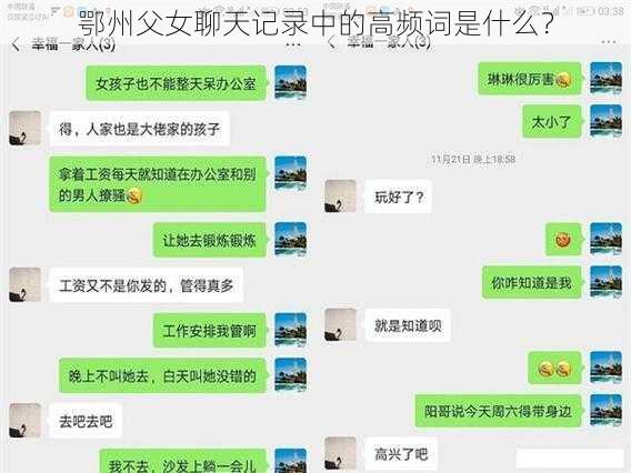 鄂州父女聊天记录中的高频词是什么?