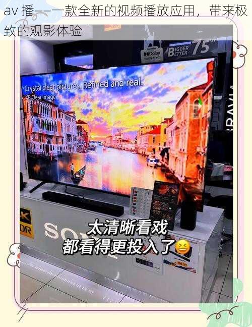 av 播——一款全新的视频播放应用,带来极致的观影体验