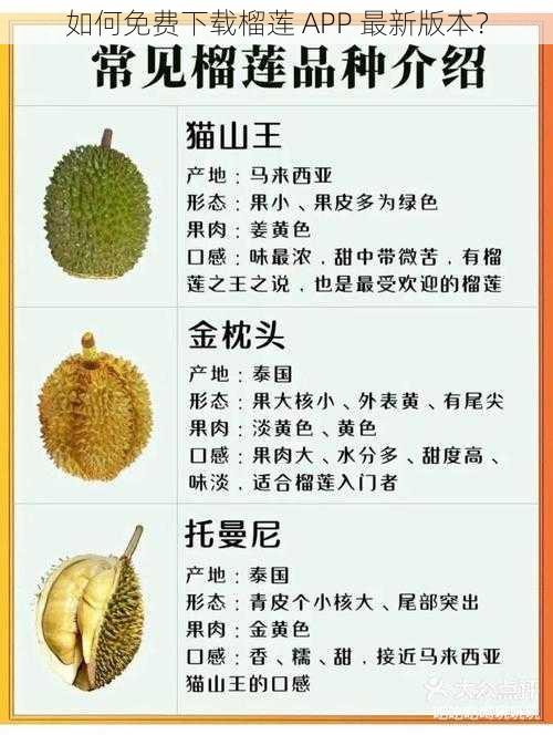 如何免费下载榴莲 APP 最新版本?