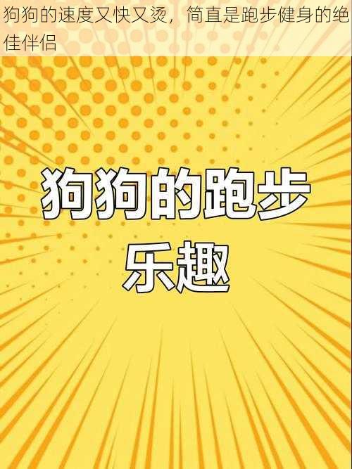 狗狗的速度又快又烫，简直是跑步健身的绝佳伴侣