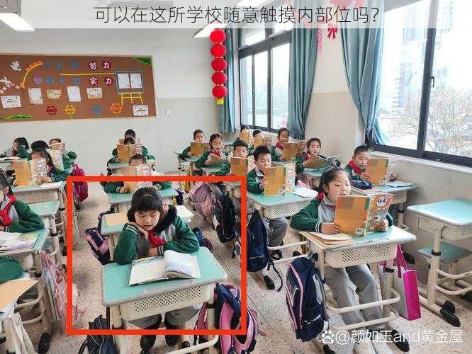 可以在这所学校随意触摸内部位吗？