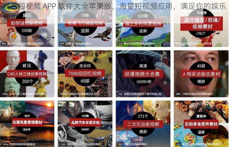 成品短视频 APP 软件大全苹果版，海量短视频应用，满足你的娱乐需求