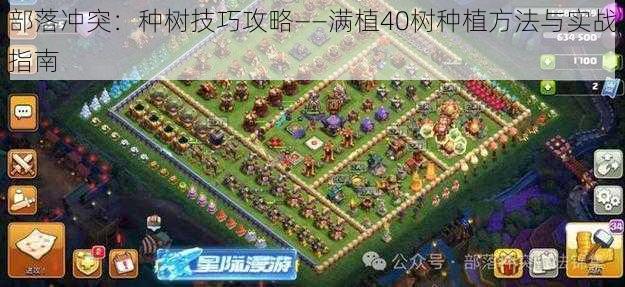 部落冲突:种树技巧攻略——满植40树种植方法与实战指南