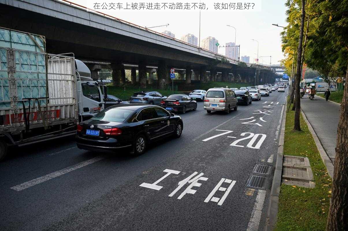 在公交车上被弄进走不动路走不动,该如何是好?