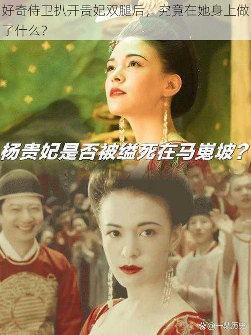 好奇侍卫扒开贵妃双腿后，究竟在她身上做了什么？