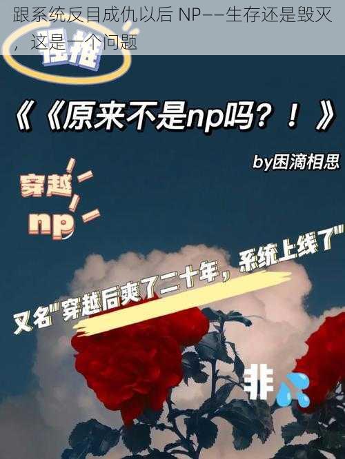 跟系统反目成仇以后 NP——生存还是毁灭，这是一个问题