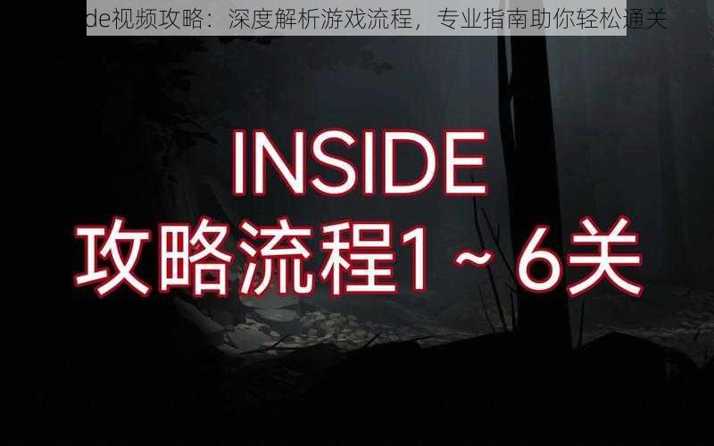 Inside视频攻略：深度解析游戏流程，专业指南助你轻松通关