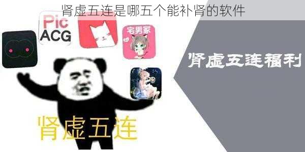 肾虚五连是哪五个能补肾的软件