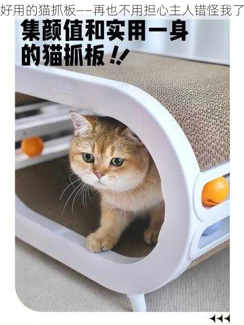 好用的猫抓板——再也不用担心主人错怪我了