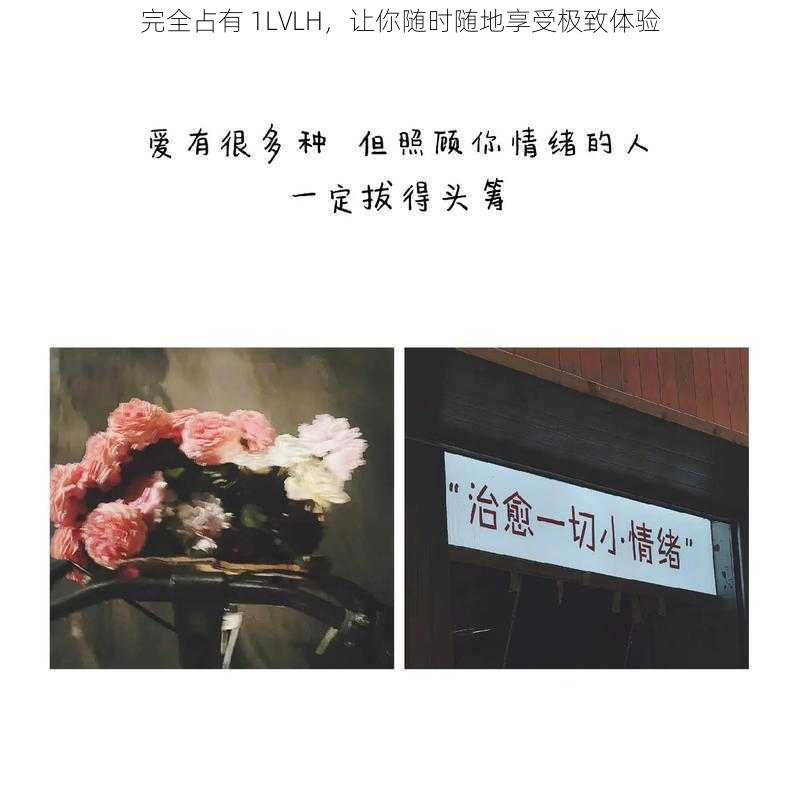 完全占有 1LVLH，让你随时随地享受极致体验