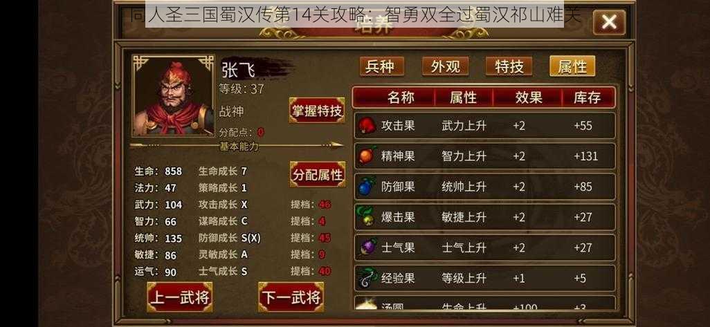 同人圣三国蜀汉传第14关攻略：智勇双全过蜀汉祁山难关