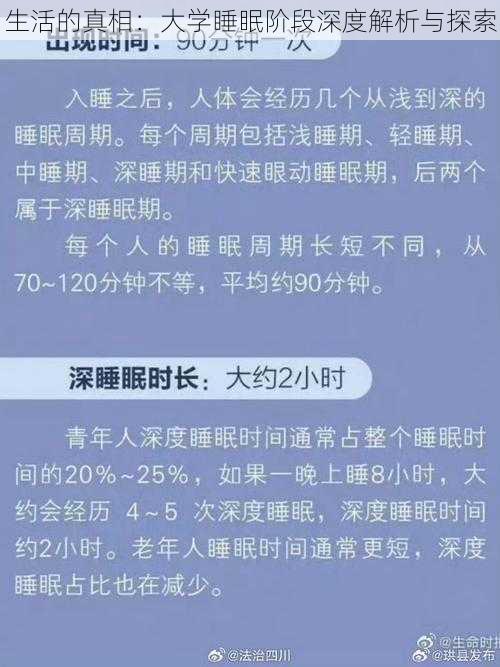 生活的真相：大学睡眠阶段深度解析与探索