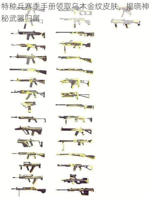 特种兵赛季手册领取乌木金纹皮肤，揭晓神秘武器归属