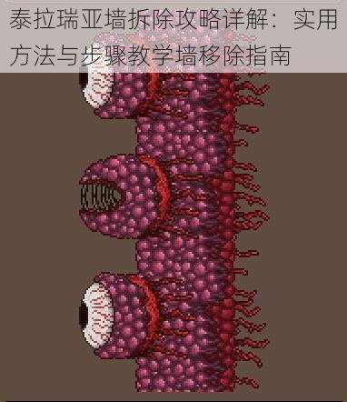 泰拉瑞亚墙拆除攻略详解：实用方法与步骤教学墙移除指南