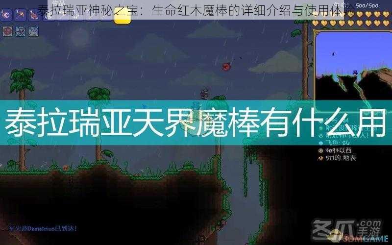 泰拉瑞亚神秘之宝：生命红木魔棒的详细介绍与使用体验