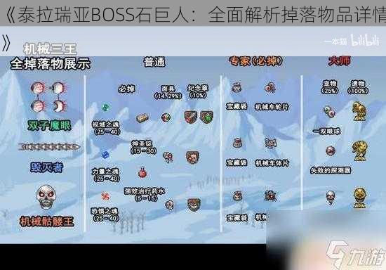 《泰拉瑞亚BOSS石巨人：全面解析掉落物品详情》