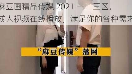 麻豆画精品传媒 2021 一二三区，成人视频在线播放，满足你的各种需求