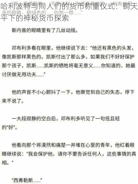 哈利波特与同人们的货币称重仪式：铜天平下的神秘货币探索