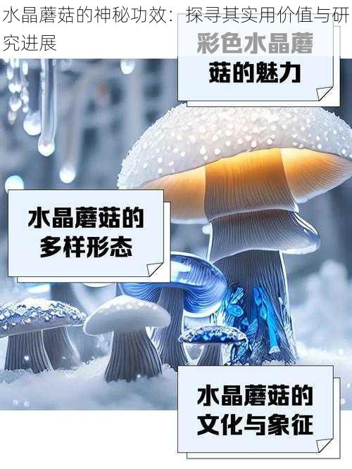 水晶蘑菇的神秘功效：探寻其实用价值与研究进展