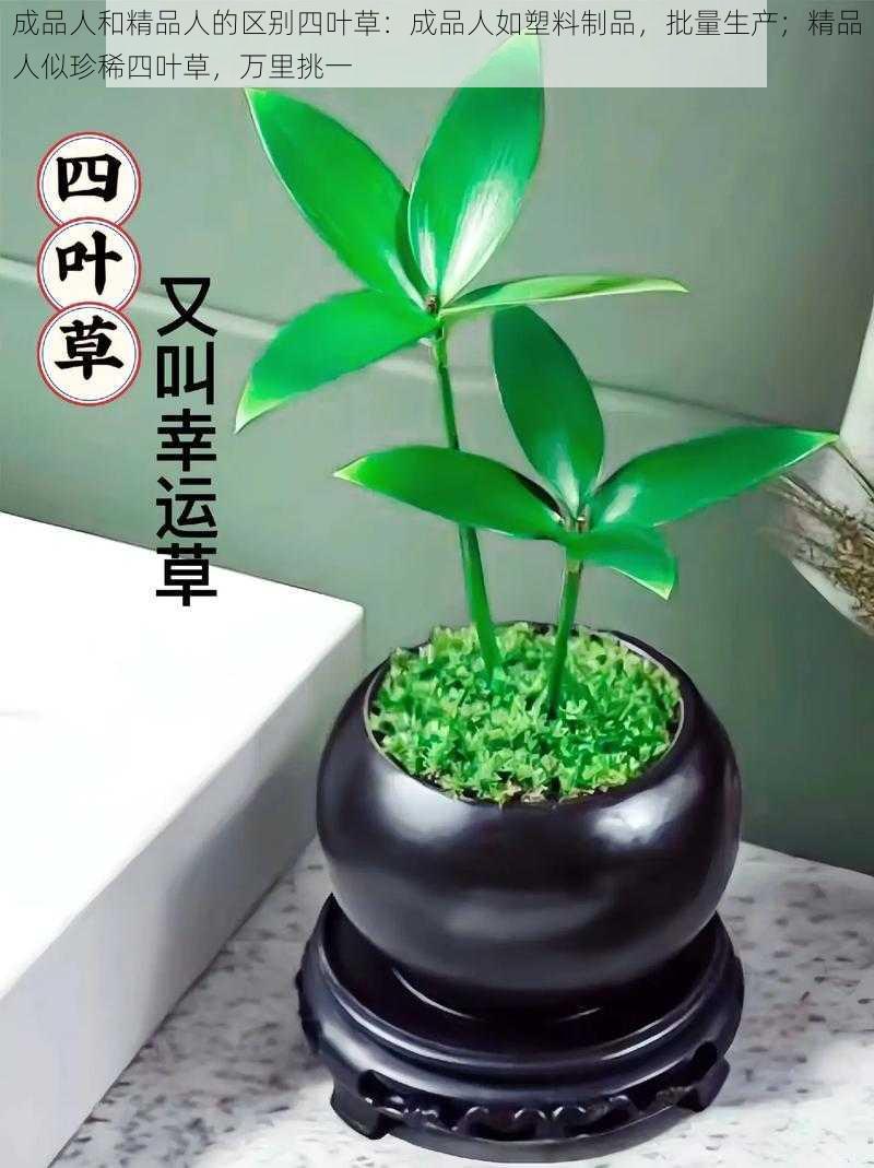 成品人和精品人的区别四叶草：成品人如塑料制品，批量生产；精品人似珍稀四叶草，万里挑一