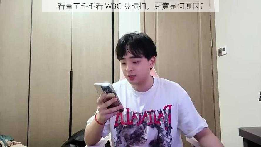 看晕了毛毛看 WBG 被横扫，究竟是何原因？