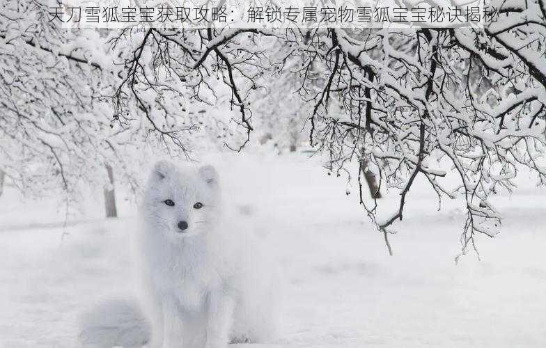 天刀雪狐宝宝获取攻略：解锁专属宠物雪狐宝宝秘诀揭秘