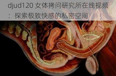 djud120 女体拷问研究所在线视频：探索极致快感的私密空间