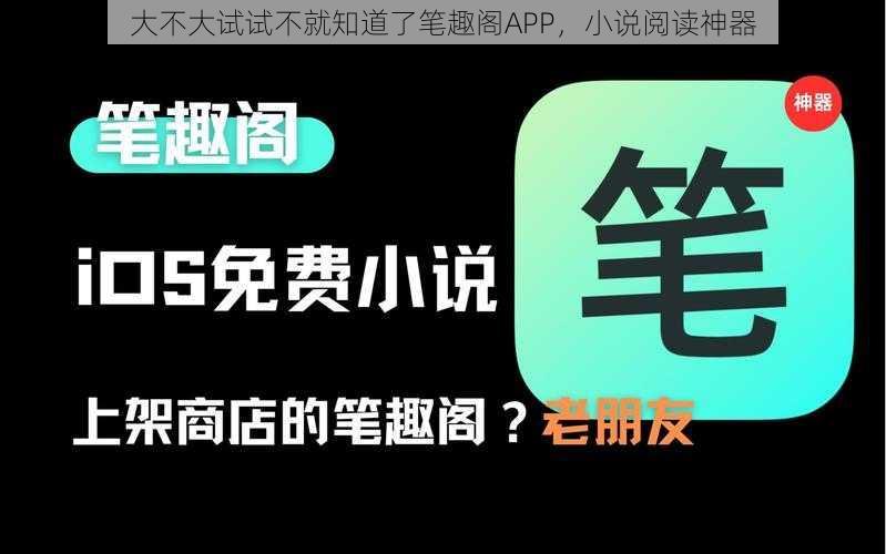 大不大试试不就知道了笔趣阁APP，小说阅读神器