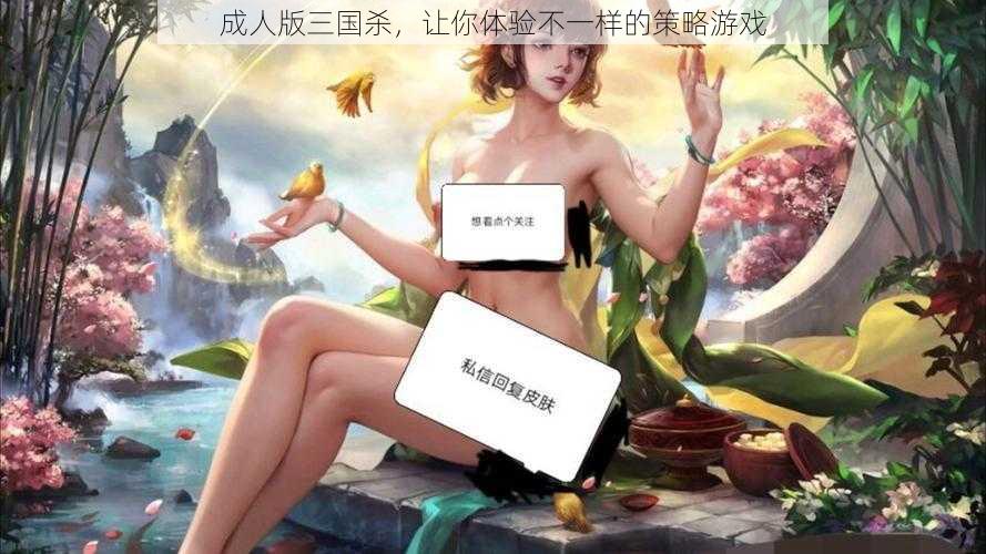 成人版三国杀，让你体验不一样的策略游戏