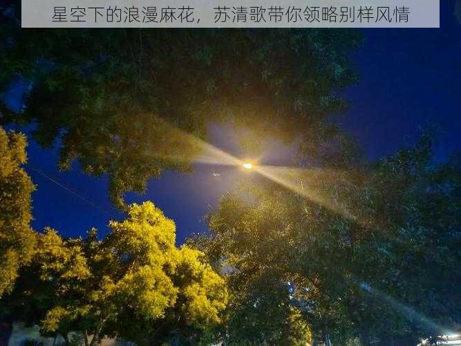 星空下的浪漫麻花，苏清歌带你领略别样风情