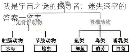 我是宇宙之谜的探寻者：迷失深空的答案一览表