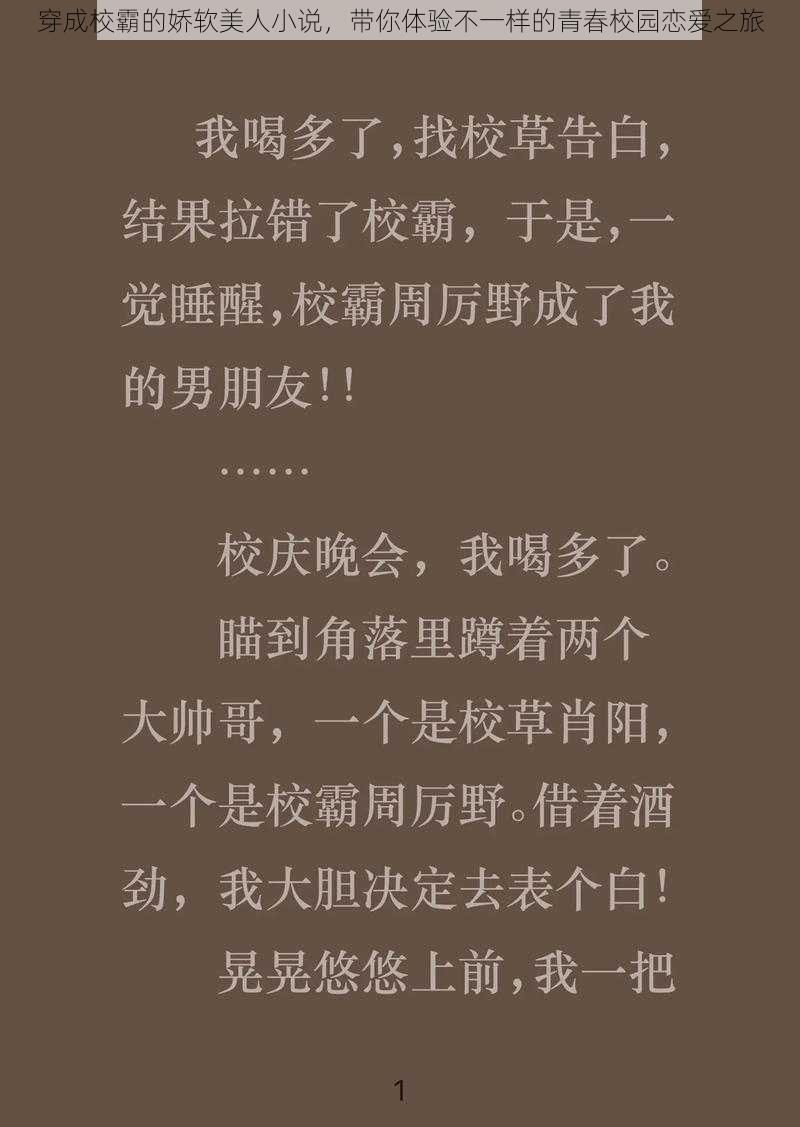 穿成校霸的娇软美人小说，带你体验不一样的青春校园恋爱之旅