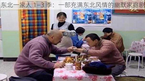 东北一家人 1—3 季：一部充满东北风情的幽默家庭剧