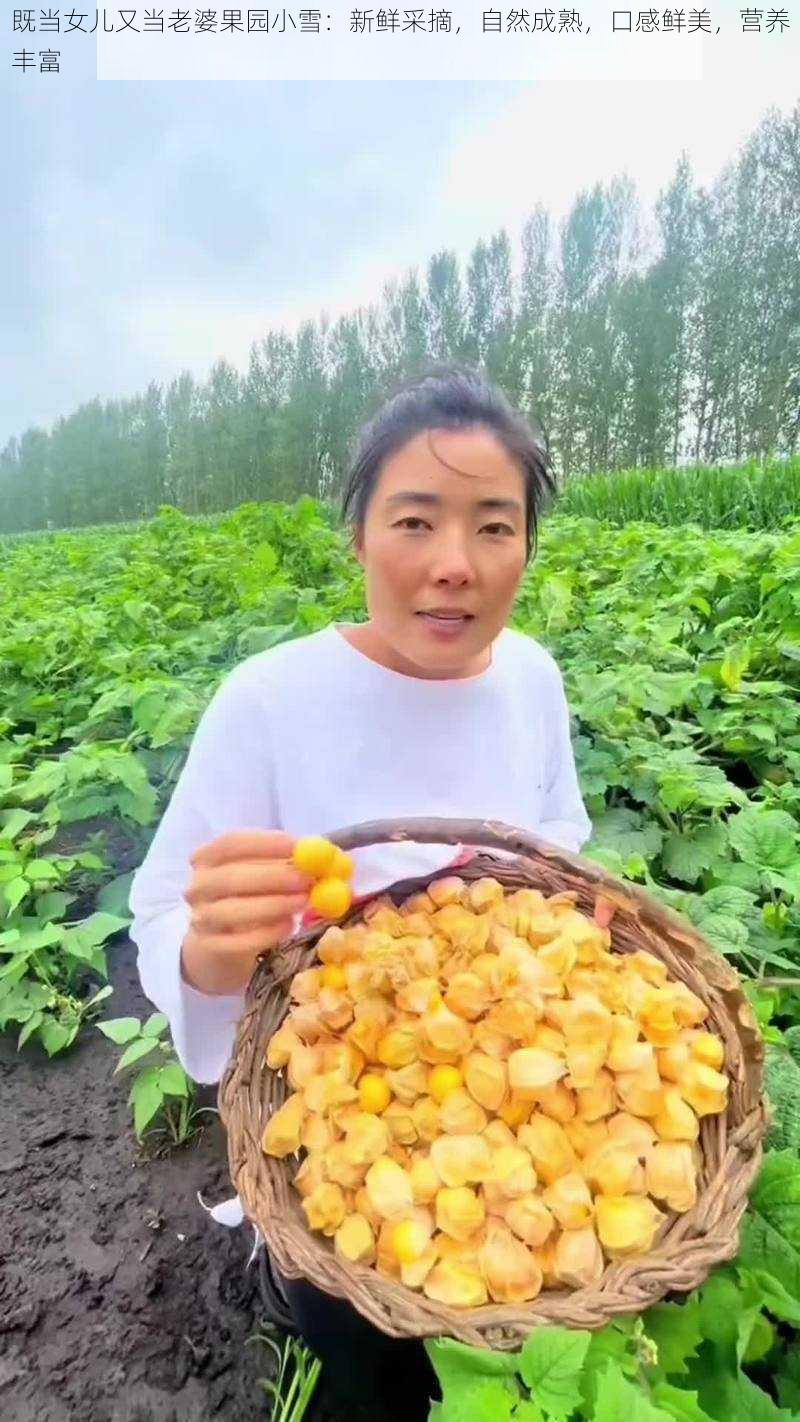 既当女儿又当老婆果园小雪：新鲜采摘，自然成熟，口感鲜美，营养丰富