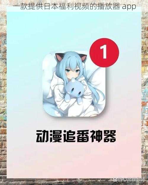 一款提供日本福利视频的播放器 app