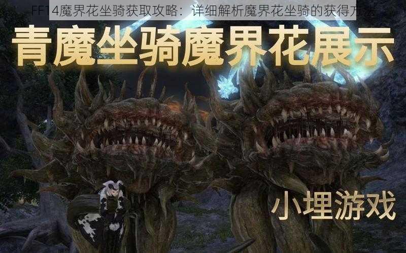 FF14魔界花坐骑获取攻略：详细解析魔界花坐骑的获得方法