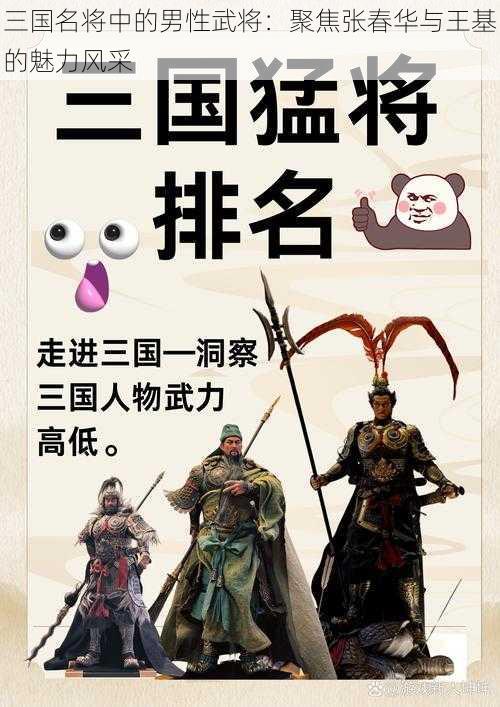 三国名将中的男性武将：聚焦张春华与王基的魅力风采