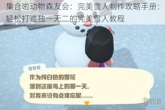 集合啦动物森友会：完美雪人制作攻略手册：轻松打造独一无二的完美雪人教程