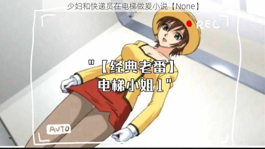 少妇和快递员在电梯做爰小说【None】