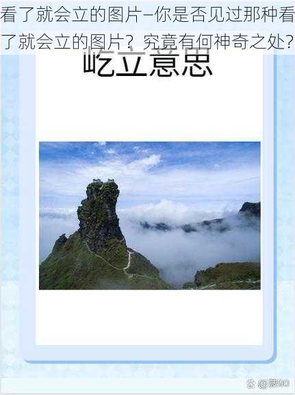 看了就会立的图片—你是否见过那种看了就会立的图片？究竟有何神奇之处？