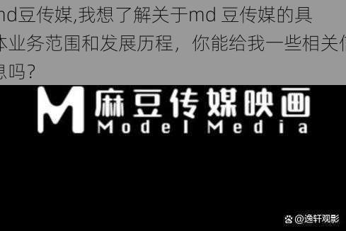 md豆传媒,我想了解关于md 豆传媒的具体业务范围和发展历程，你能给我一些相关信息吗？