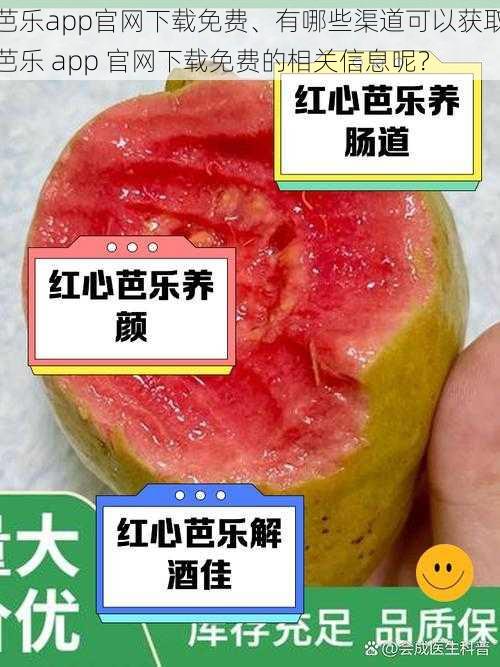 芭乐app官网下载免费、有哪些渠道可以获取芭乐 app 官网下载免费的相关信息呢？