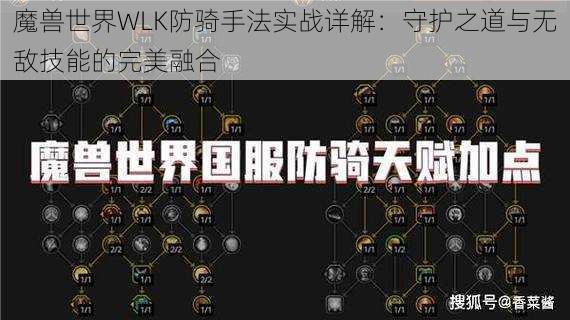 魔兽世界WLK防骑手法实战详解：守护之道与无敌技能的完美融合