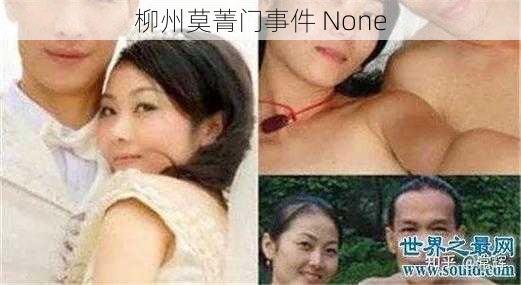 柳州莫菁门事件 None