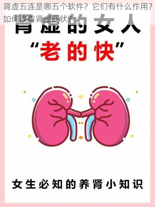 肾虚五连是哪五个软件？它们有什么作用？如何改善肾虚症状？